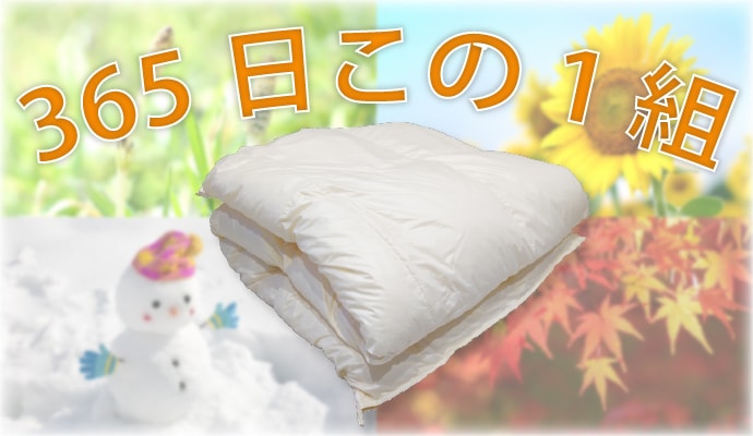 365日この1枚